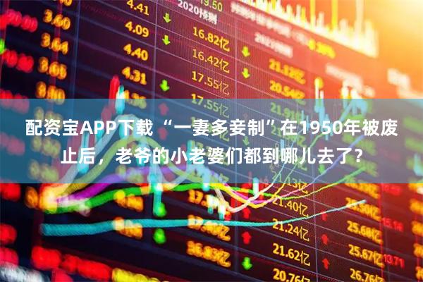 配资宝APP下载 “一妻多妾制”在1950年被废止后，老爷的小老婆们都到哪儿去了？