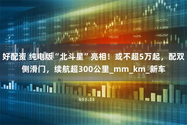 好配资 纯电版“北斗星”亮相！或不超5万起，配双侧滑门，续航超300公里_mm_km_新车