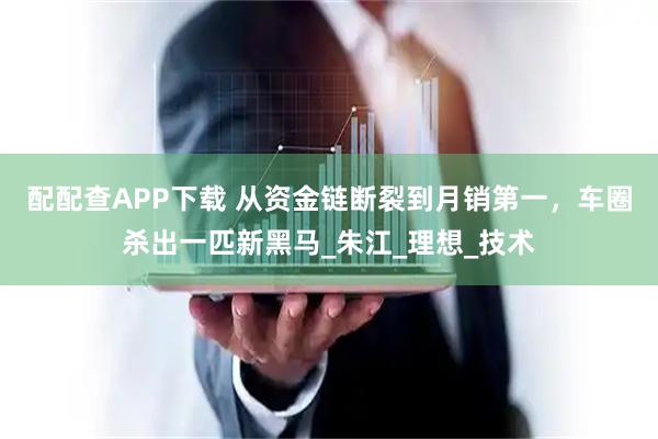 配配查APP下载 从资金链断裂到月销第一，车圈杀出一匹新黑马_朱江_理想_技术