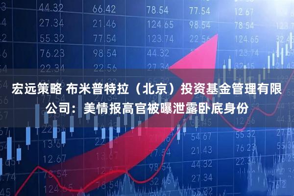 宏远策略 布米普特拉（北京）投资基金管理有限公司：美情报高官被曝泄露卧底身份