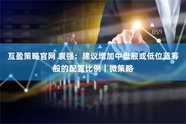 互盈策略官网 袁强：建议增加中盘股或低位蓝筹股的配置比例｜微策略